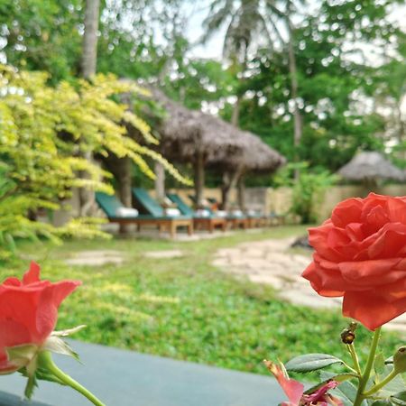 Marari Beach Bungalow Resort Alleppey Mararikulam Exterior foto