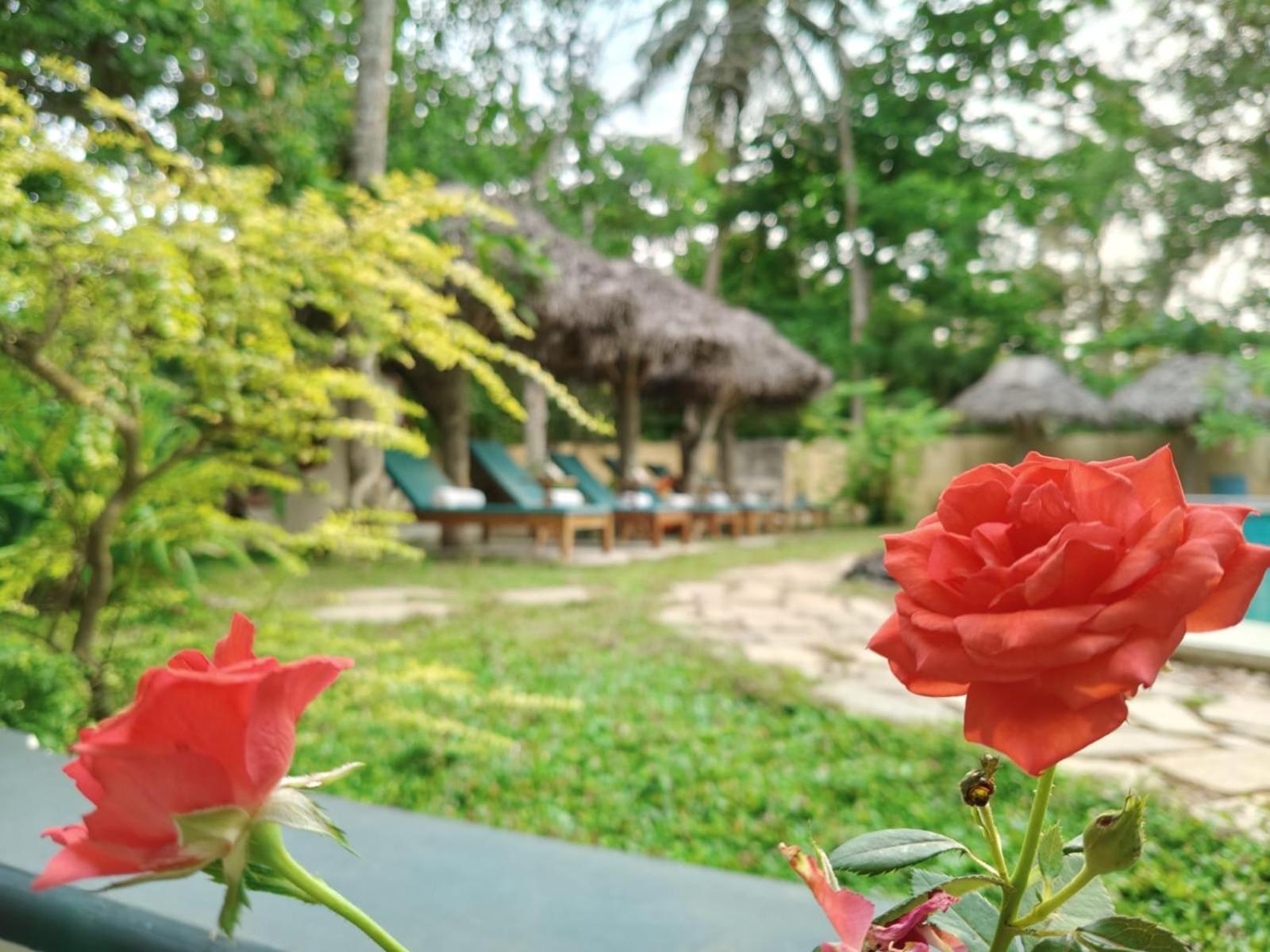 Marari Beach Bungalow Resort Alleppey Mararikulam Exterior foto